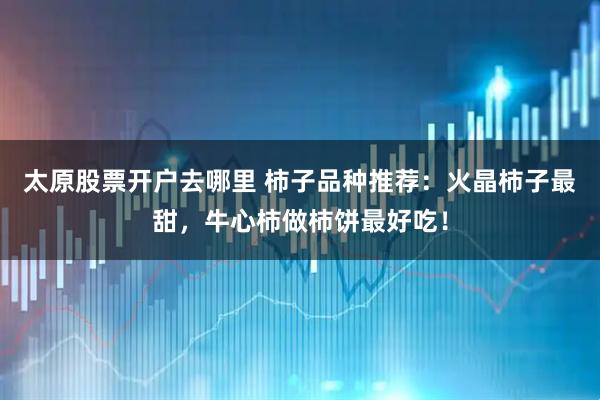 太原股票开户去哪里 柿子品种推荐：火晶柿子最甜，牛心柿做柿饼最好吃！